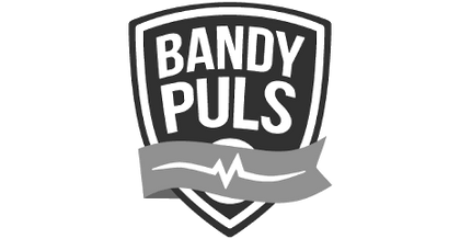Bandypuls